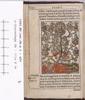 1542.NT.lat.JR.a 1 a2v