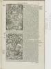 's-Gravenhage KB 1703 A 17 (Revelation) 2 LL1r