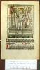 1484.EpEv.dut.snom.a 1 p5v