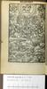 Brussels BR LP 5519 A (Revelation) 1 l7v