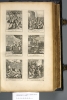 1714.B.dut.JK1.a 1 plate 22 (between X3v-X4r)