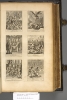 1714.B.dut.JK1.a 1 plate 23 (between Z5v-Z6r)