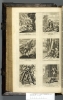 1702.B.dut.HK1.a 1 plate 15 (between O6v-O7r)