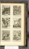 1744.NT.dut.JK2.a 1 plate 50 (between Dd1v-Dd2r)