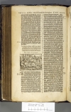 Amsterdam BVU XC.05064 (Exodus) 1 E3v