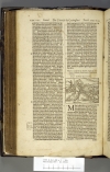 Amsterdam BVU XC.05064 (I Samuel) 1 S5v