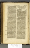 1599.B.dut.JM1.a 1 K4v