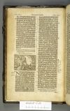Amsterdam BVU XC.05064 (Genesis) 1 B2v