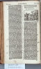 16XX.B.dut.JM1.a 1 K4v