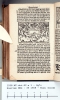 Haarlem NBG 35 1558 - Nieu (Cock) (Revelation) 1 Gg7v